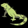 Iguana